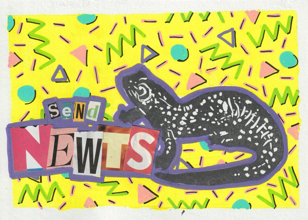 Sarah Louise Windisch | Printmaker art print Send Newts Art Prints