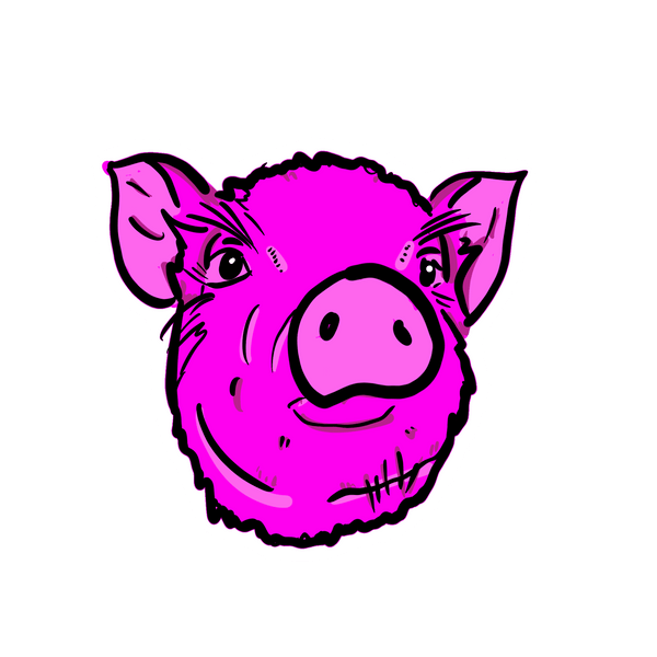 Sarah Louise Windisch | Printmaker Peel and Squeal!